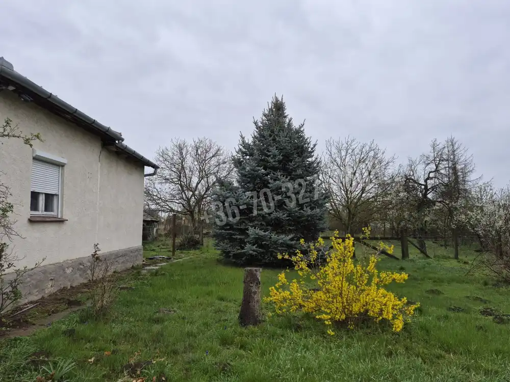 Jász-Nagykun-Szolnok megye - Tiszaszőlős