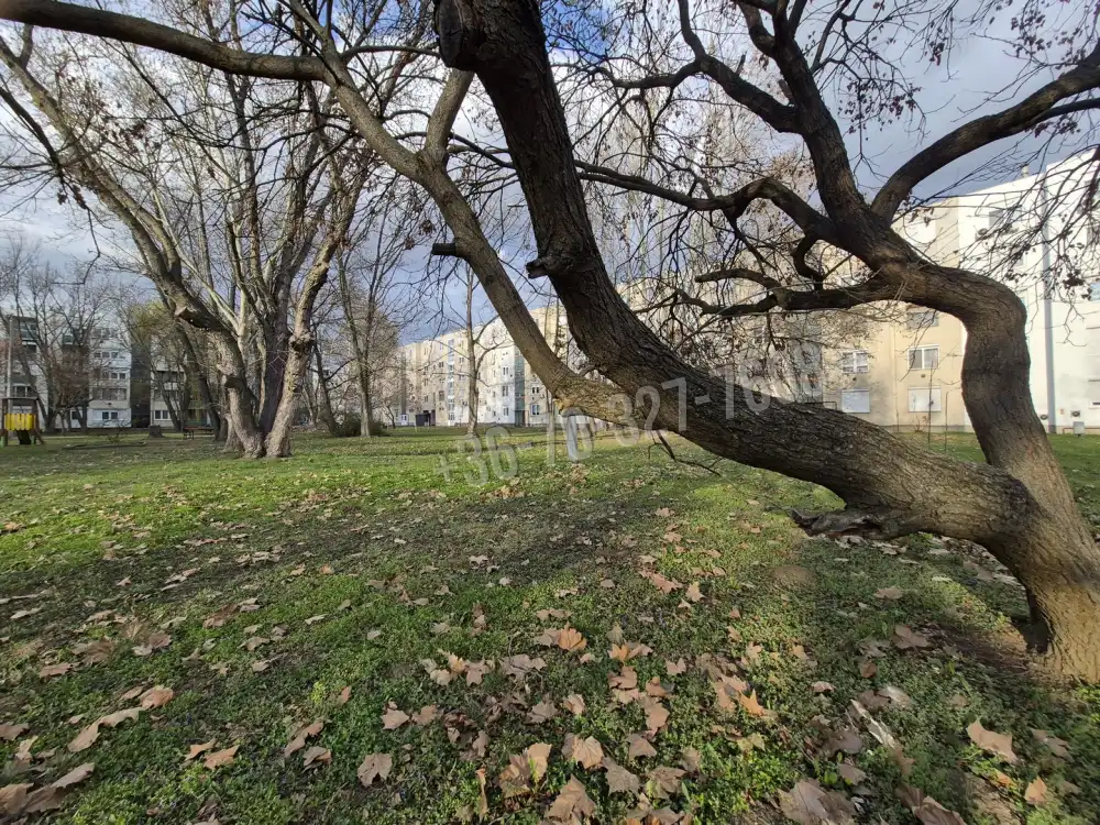 Jász-Nagykun-Szolnok megye - Tiszafüred